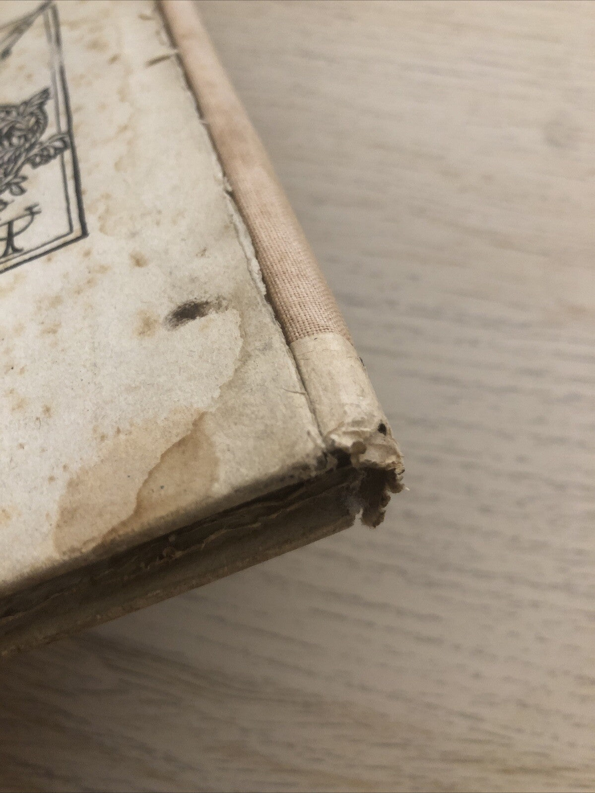 La Secchia, Olindo Guerrini, A. F. Formiggini editore. Garagnani 1908 - Tassone