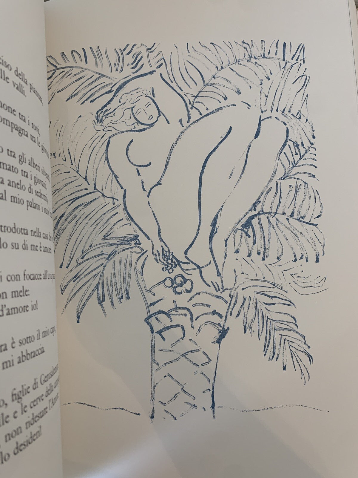 Cantico dei cantici, EDIZIONE PREGIATA Pierre Boncompain. Art'e', G. Ravasi 2002