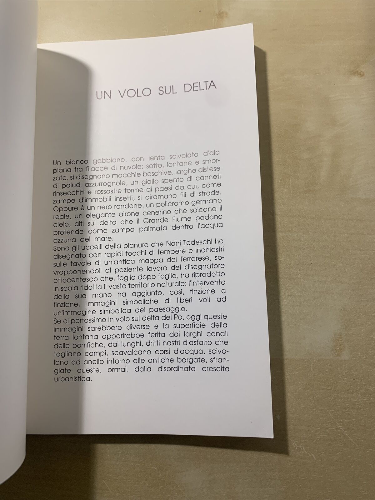 NANI TEDESCHI - Da una carta del Ferrarese, Massimo Mussini 1988 #