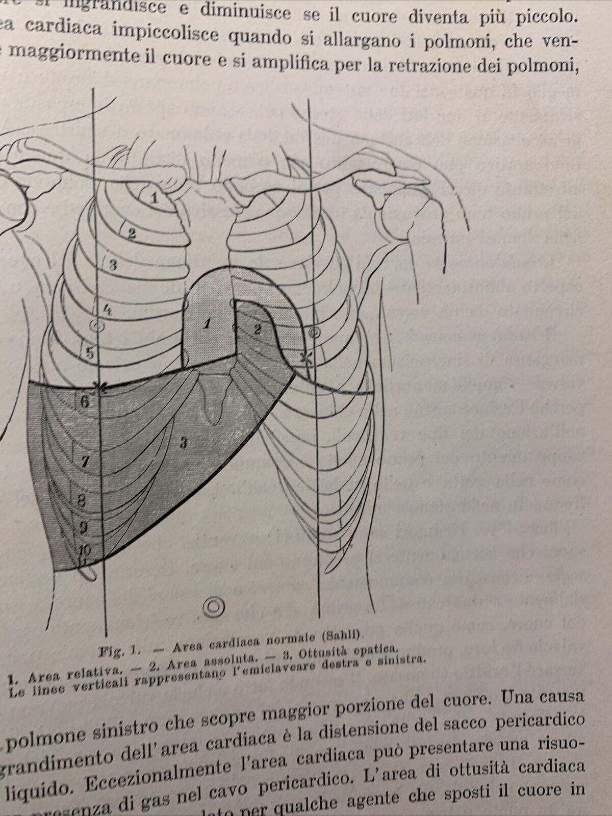 MANUALE PRATICO MEDICINA INTERNA - FEDERICO TAYLOR. UTET 1911. 2 VOLUMI #