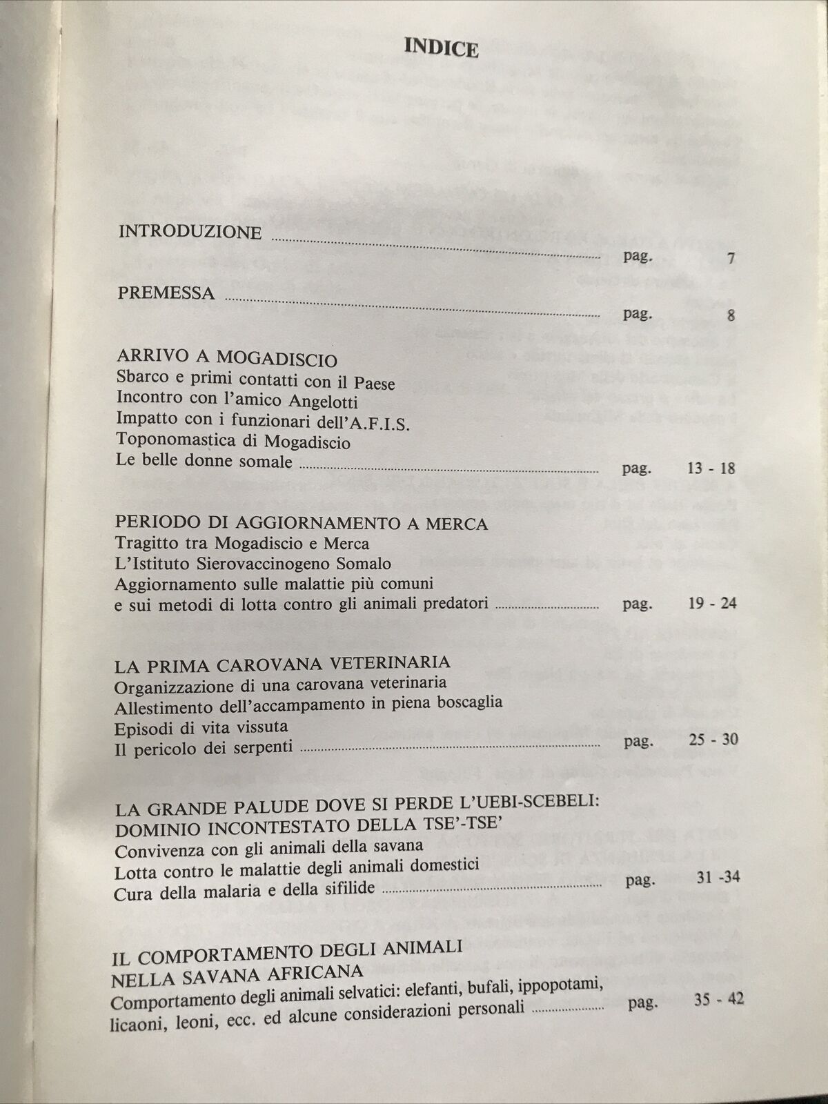 L'ultima carovana, Pietro Arturo Auguadra, Graphy,1990