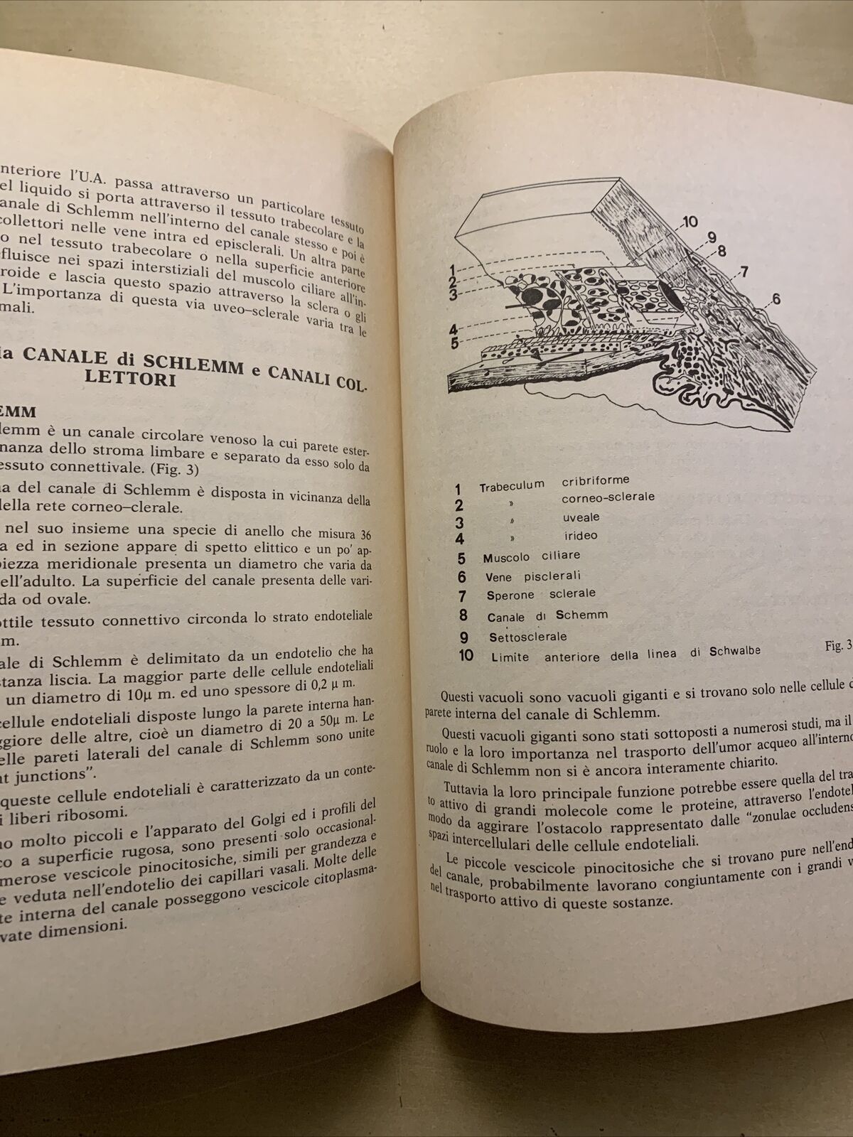 Circolazione oculare e dinamica dei liquidi oculari - Severino Cioli 1981 Nobili