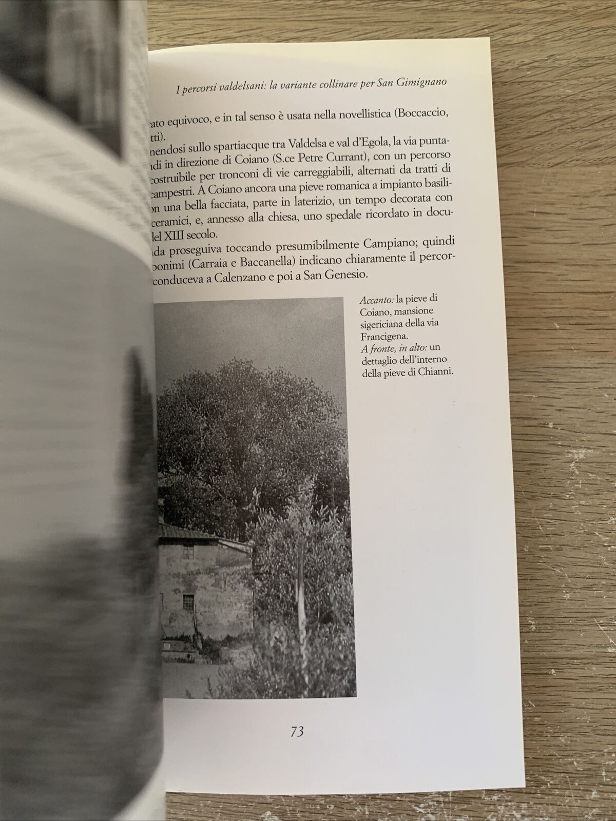 Guida ai percorsi della via Francigena in Toscana - 1999