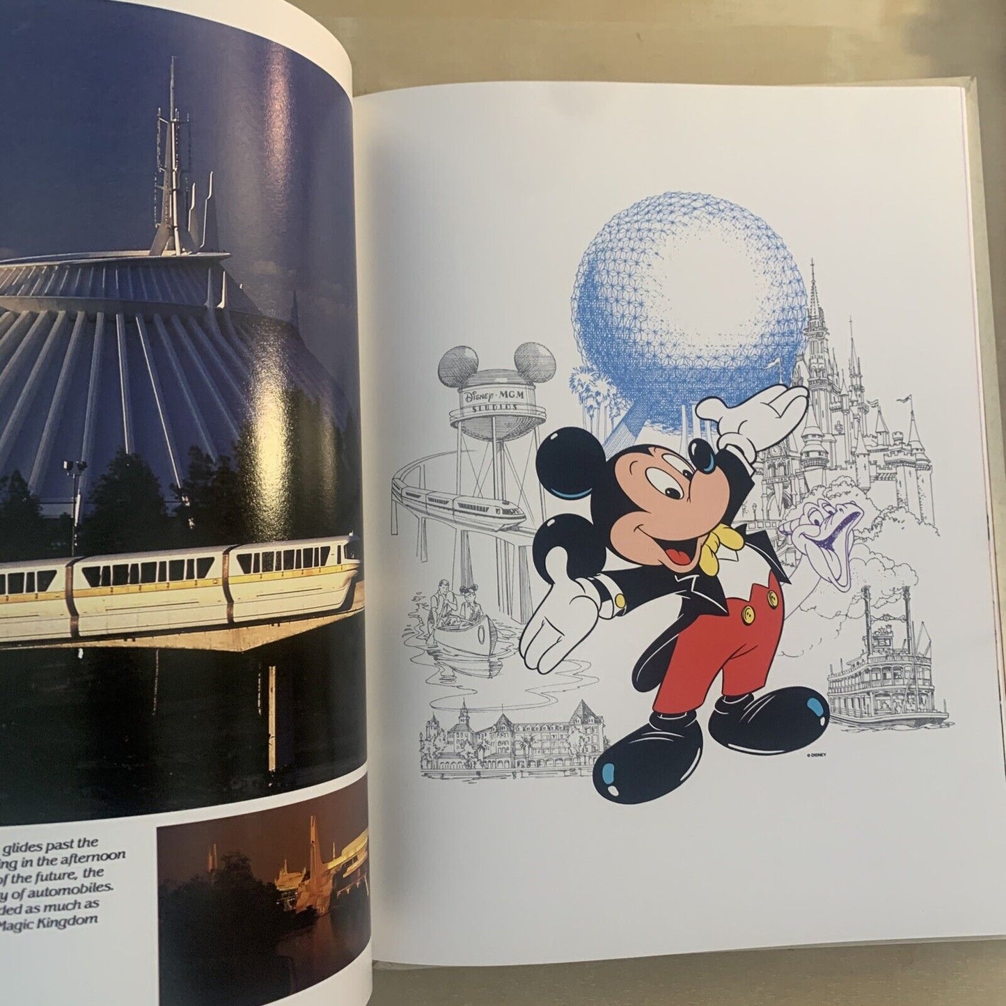 WALT DISNEY WORLD BOOK - Hardcover souvenir book **Rare** DISNEYLAND #
