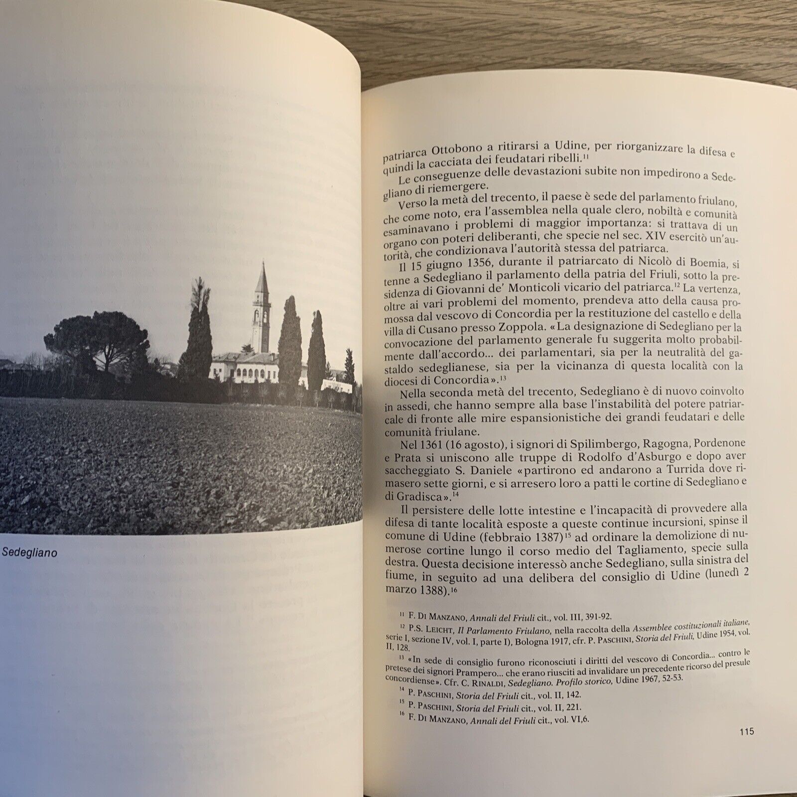 Comune di Sedegliano STORIA ARTE AMBIENTE - Carlo Rinaldi.editrice la nuova base