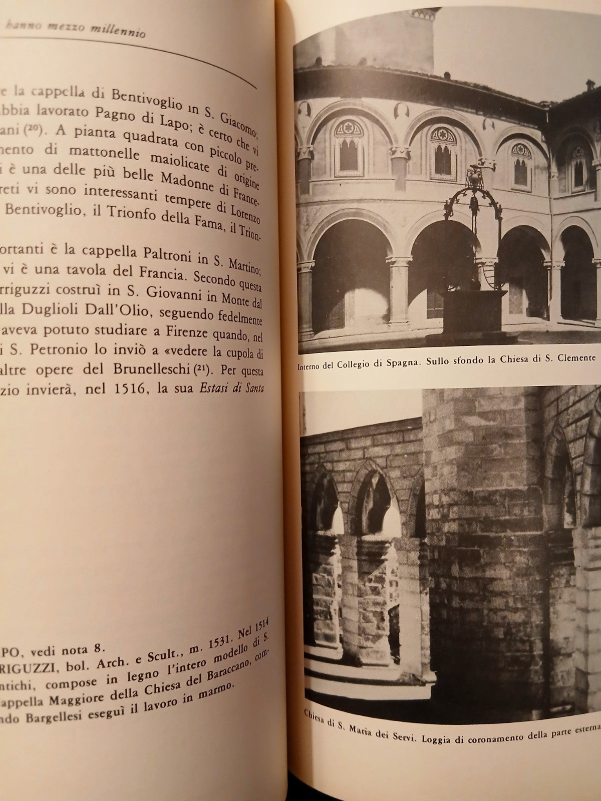 Architetture bolognesi - Angelo Raule - Guidicini e Rosa ed. 1976