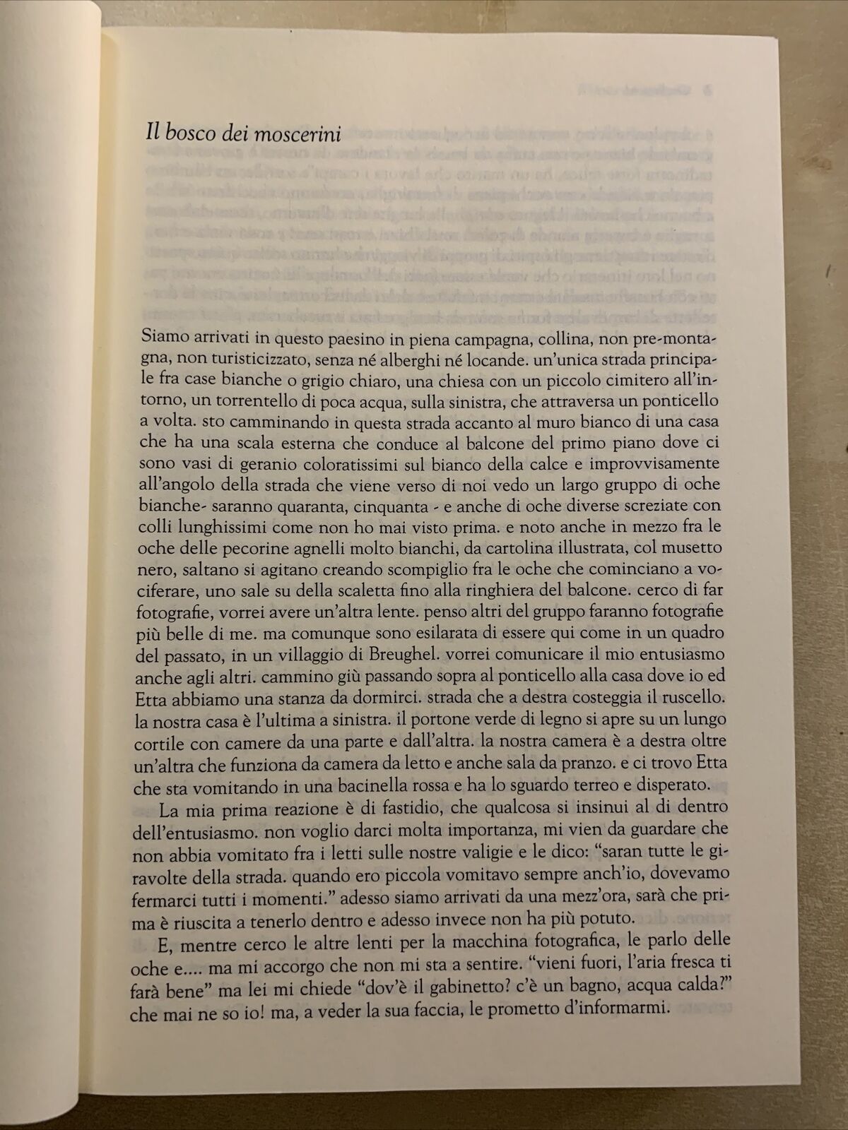 OSCILLAZIONI - ELENA GIANOLIO JUNG 2011