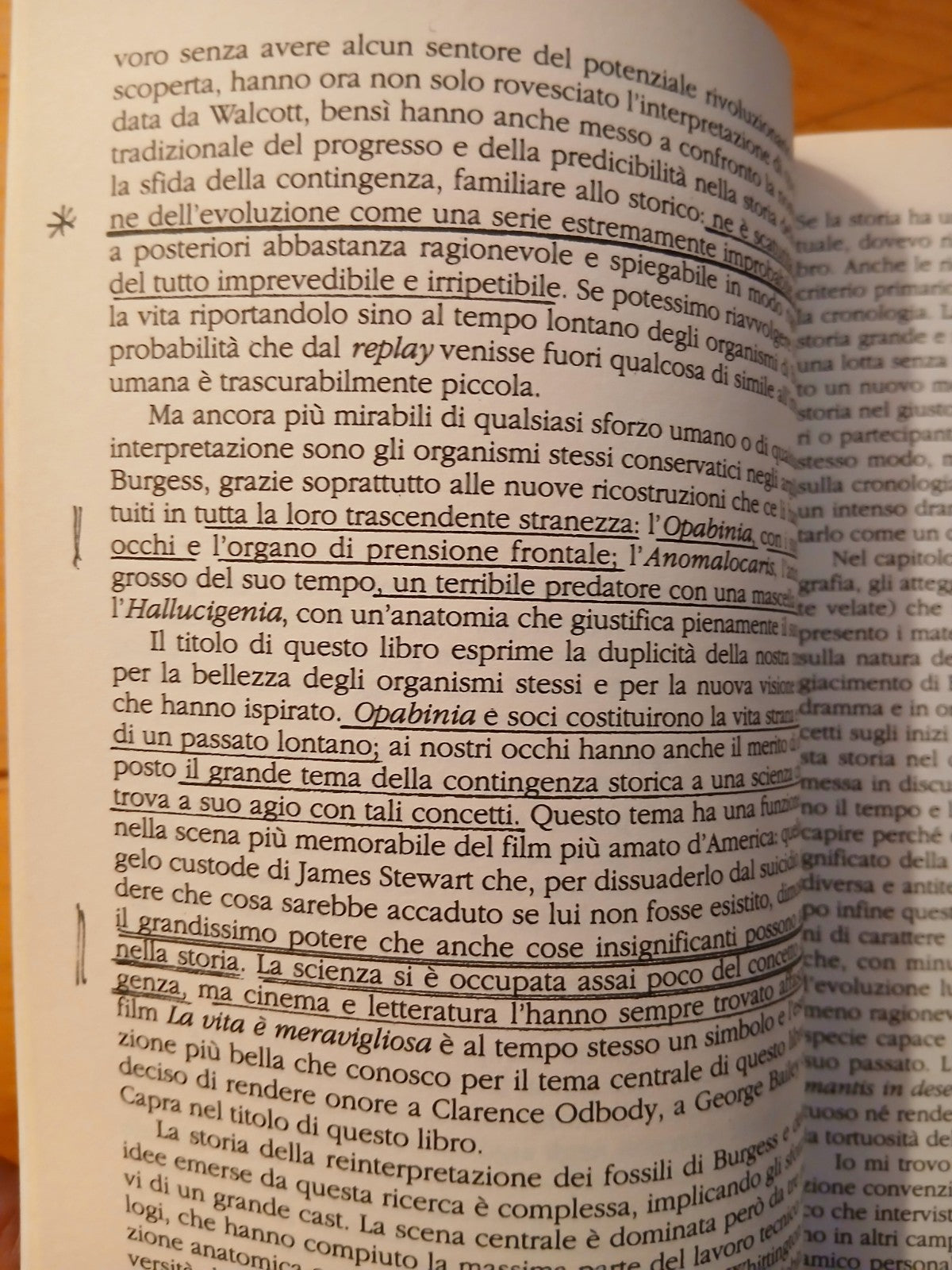 La vita meravigliosa - Stephen Jay Gould - I Fossili di Burgess. Feltrinelli
