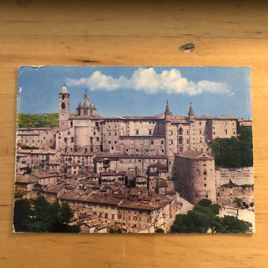 Cartolina URBINO - PALAZZO DUCALE 1972 VIAGGIATA