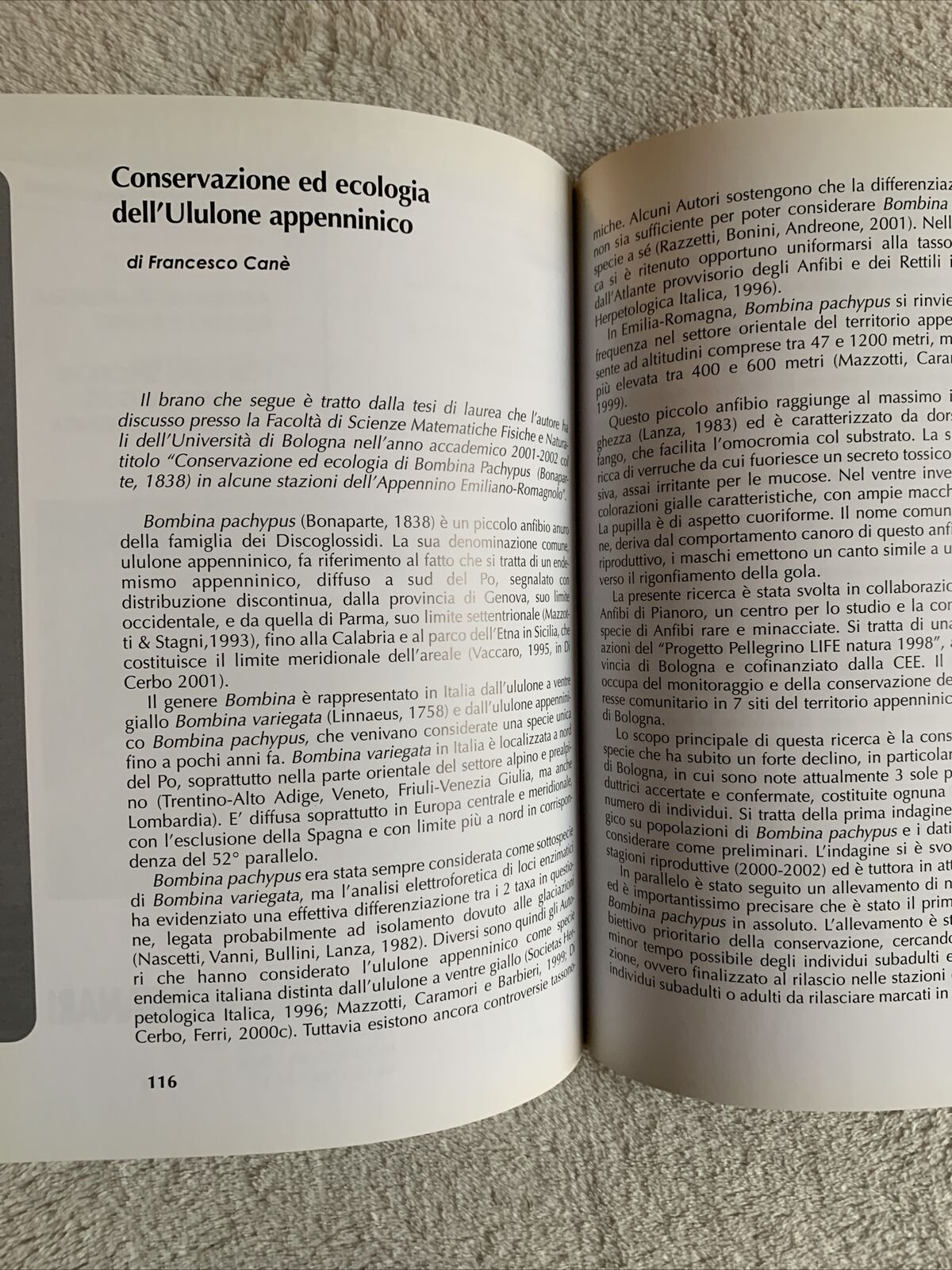 Savena Setta Sambro (Bologna) rivista semestrale n. 37 n. 24