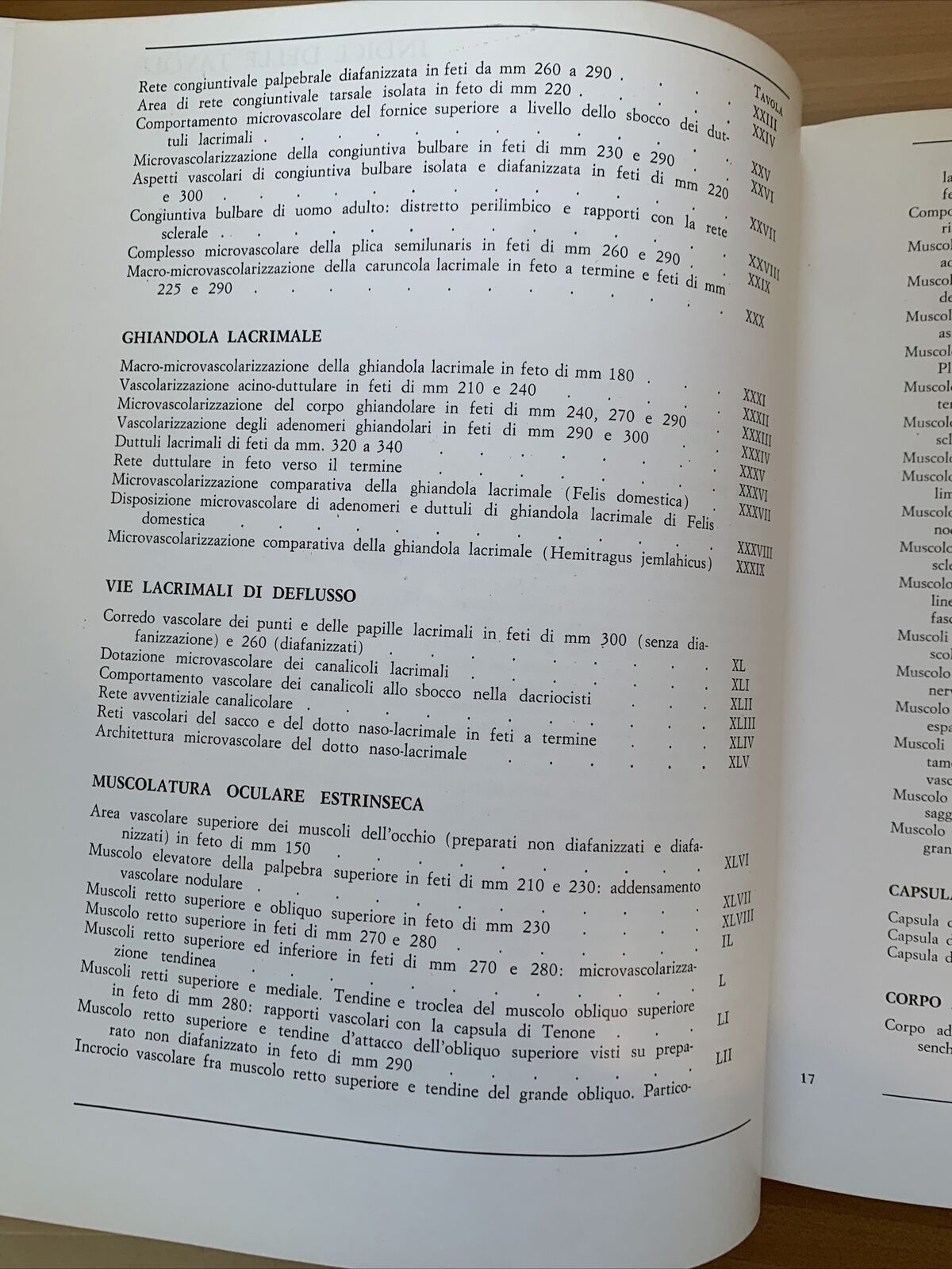 L'OCCHIO - parte terza volume primo. microvascolarizzazione. Morone, Ottaviani