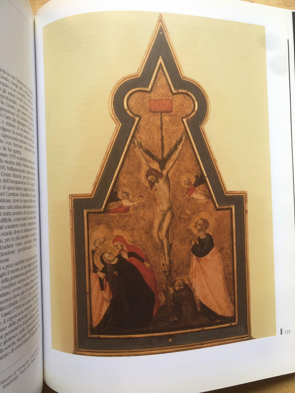 Saecularia Nona Università di Bologna 12 annual 1995 Bologna University