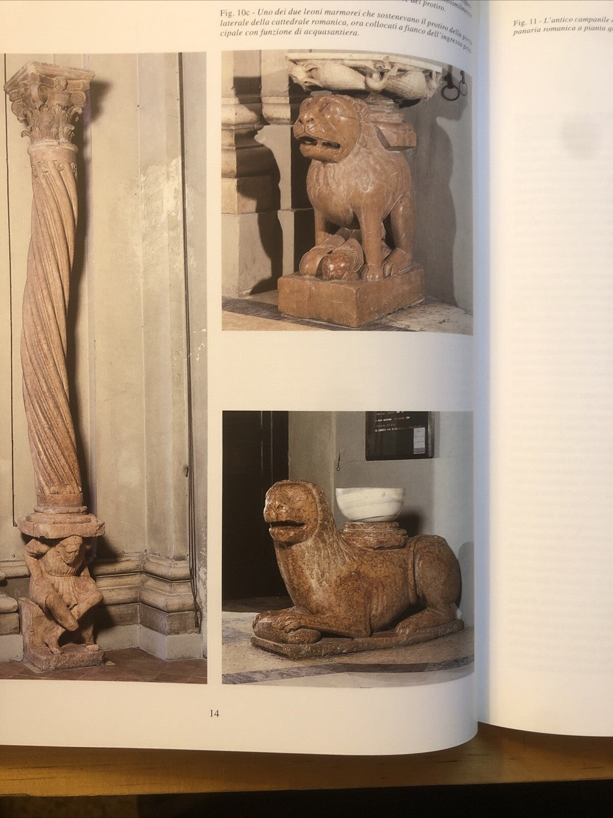 La chiesa cattedrale e metropolitana di San Pietro in Bologna guida a vedere