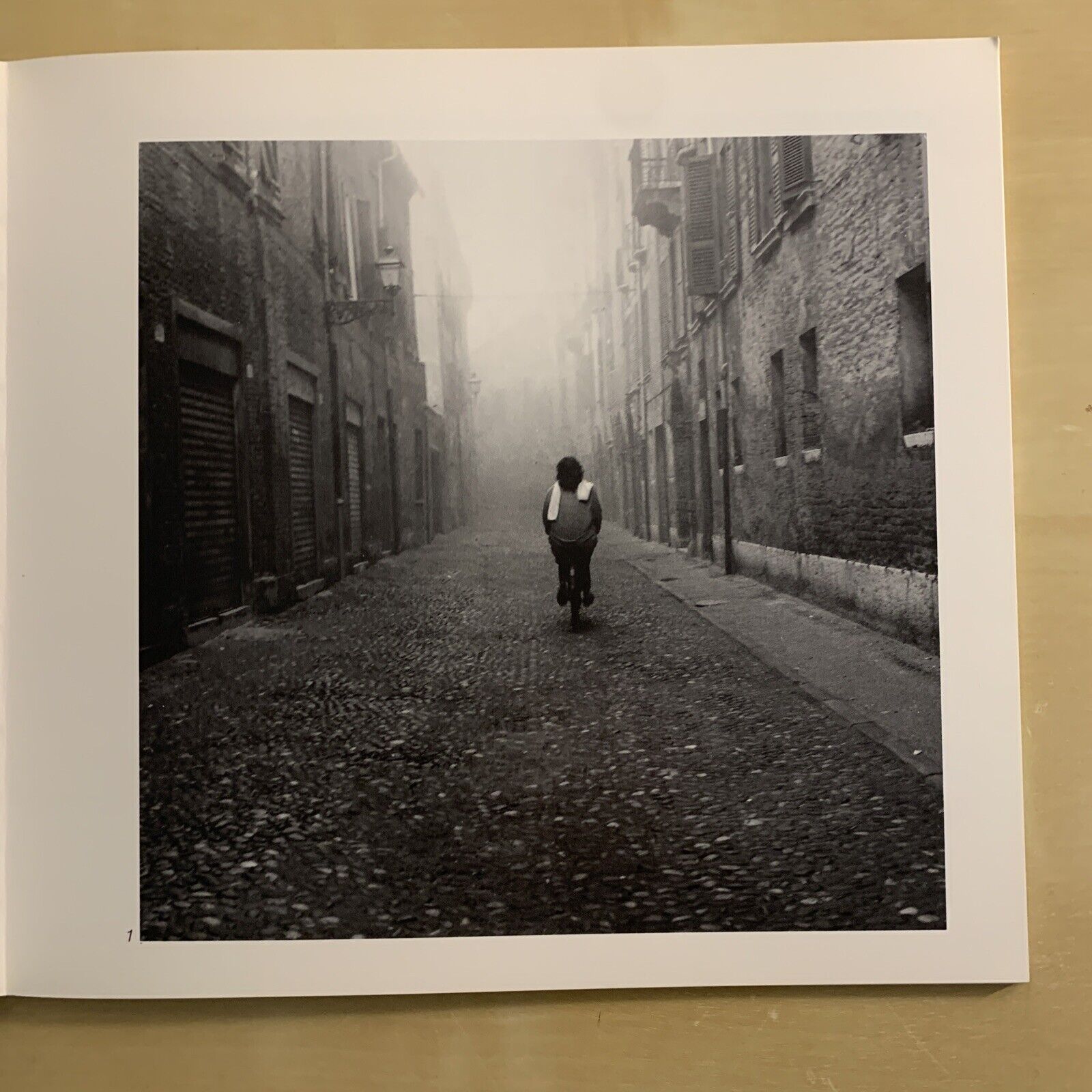 FERRARA D'INVERNO - Enrico Baglioni, Oltre lo specchio. Interbooks 1988