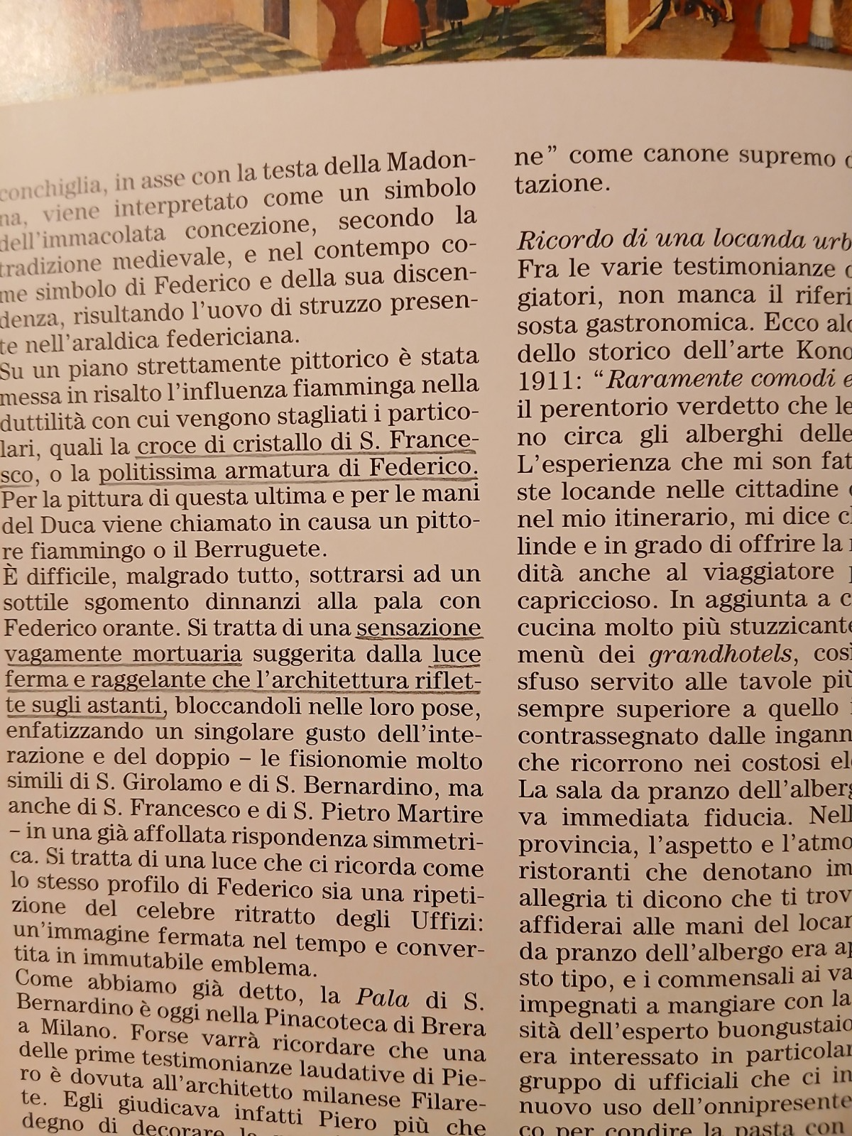 Alla ricerca di Piero della Francesca Guide artistiche Electa 1994 A. Barilli