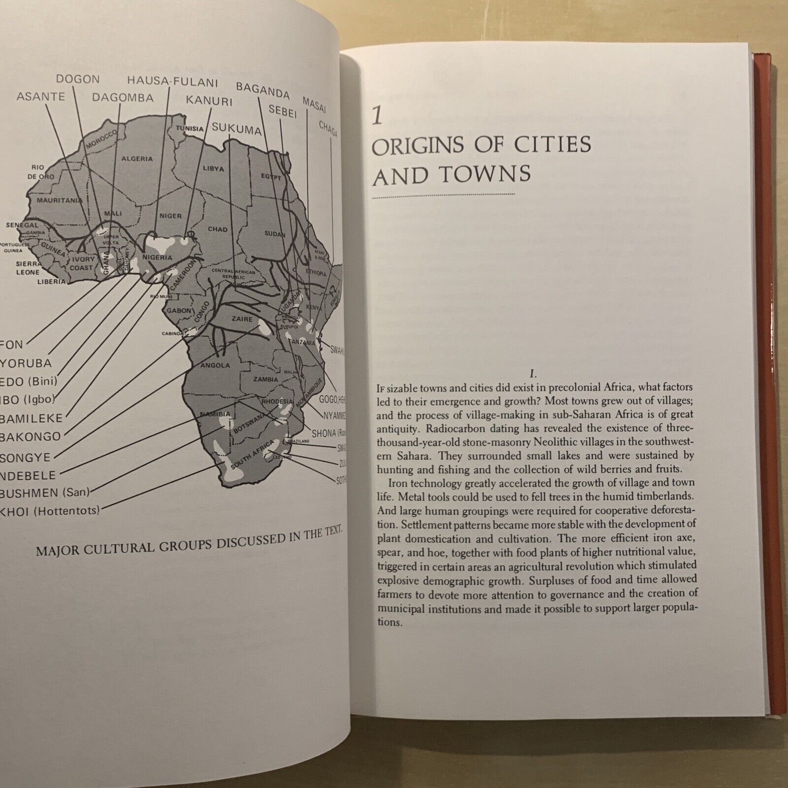 AFRICAN CITIES AND TOWNS BEFORE THE EUROPEAN CONQUEST, Richard W. Hull 1976 #