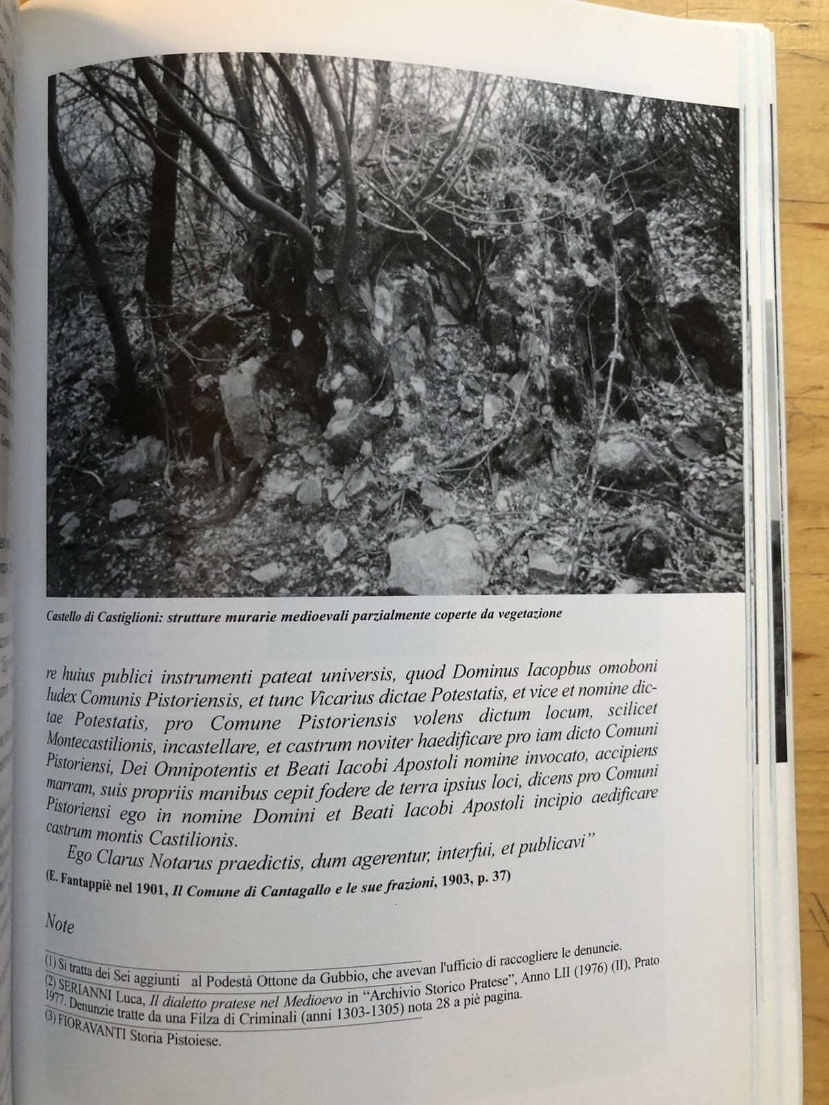 I conti Alberti secoli XI - XIV Michelangelo Abatantuono, Montagna Bologna Prato