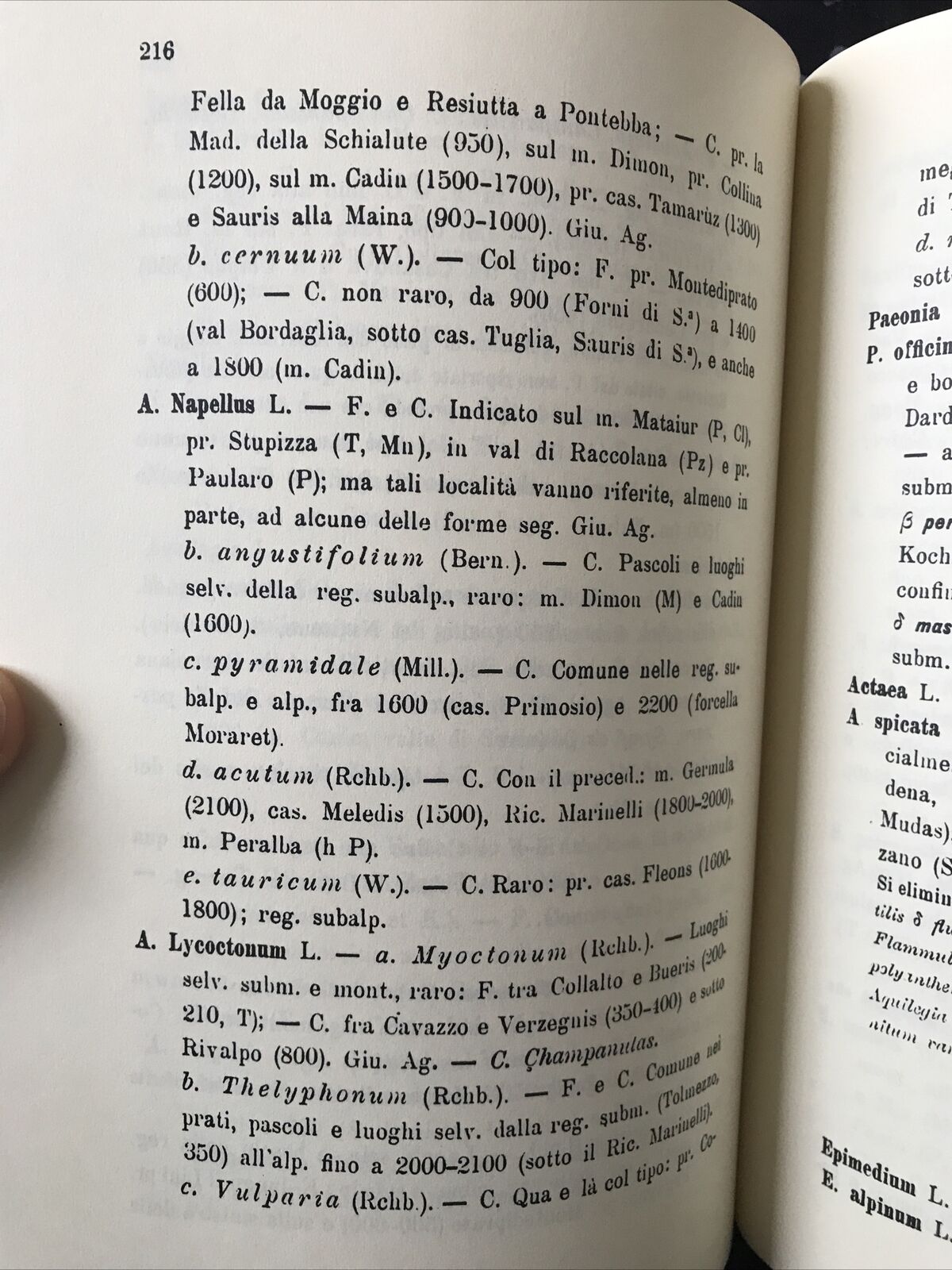 La flora friulana Luigi Michele  Gortani Arnaldo Forni editore CARNIA FRIULI 