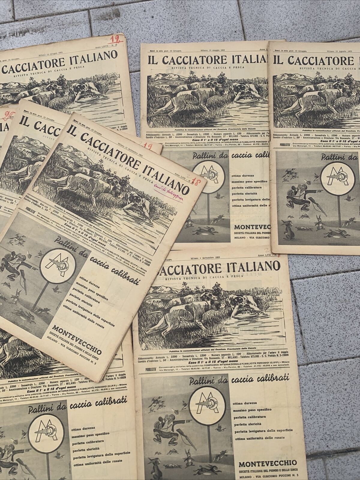 IL CACCIATORE ITALIANO giornale rivista caccia 1953 -  16 numeri #