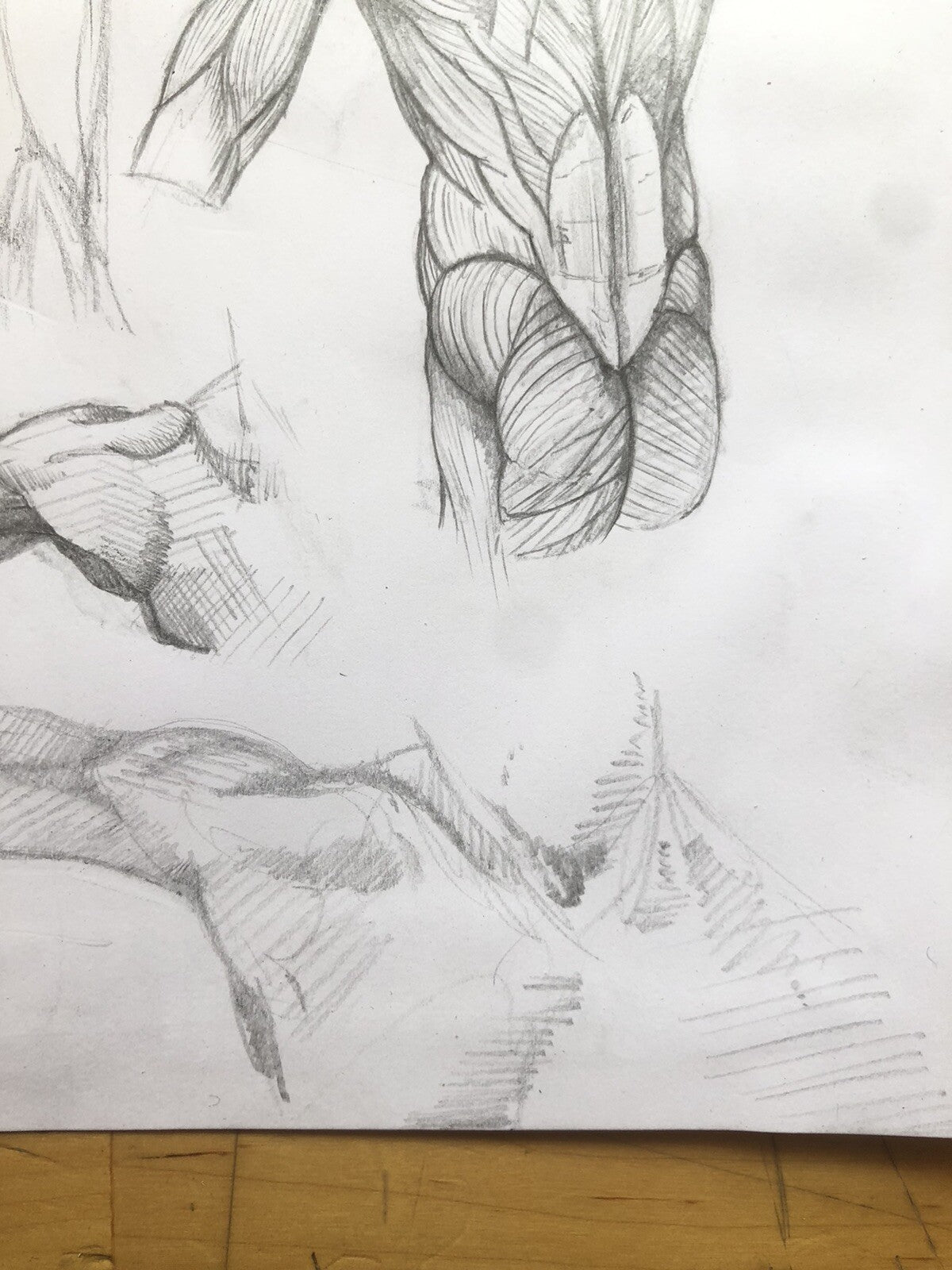 Anatomy Muscle Figure – Hand Drawn Human Body Sketch – Pencil Anatomical Art