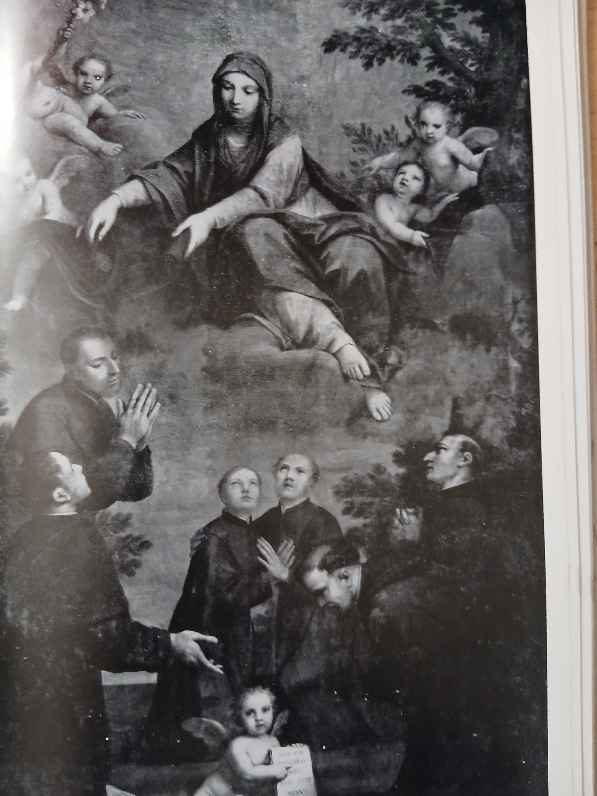 Santa Maria dei Servi in Bologna - Ferronato Paolo, Rocca - Siglaeffe ed. 1958