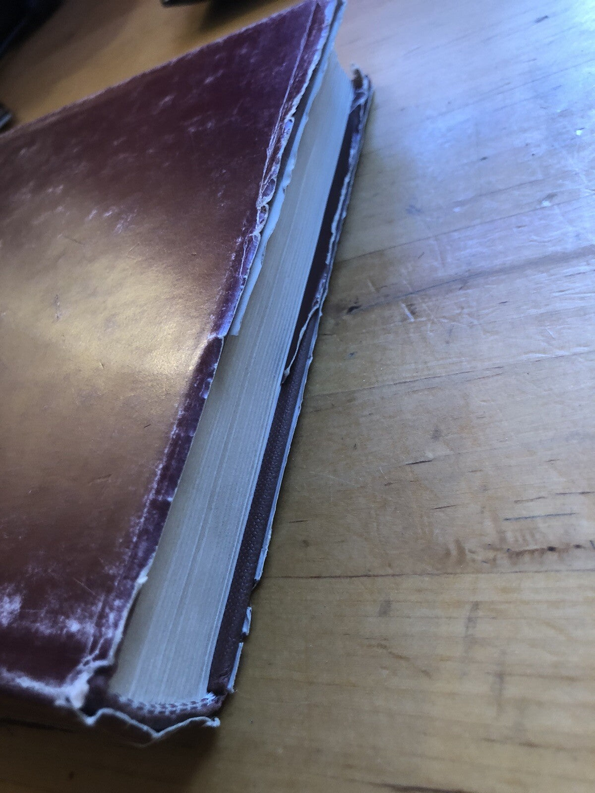 Strade transappenniniche bolognesi dal millecento al primo novecento P. Guidotti