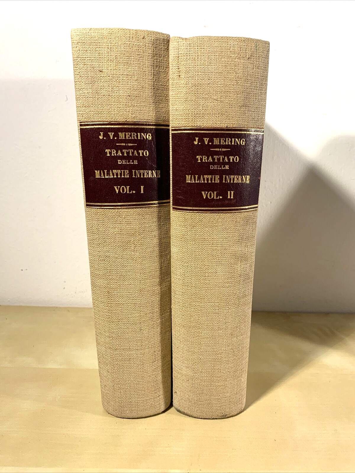 TRATTATO DELLE MALATTIE INTERNE, J. v. Mering. Società Editrice Libraria 1926