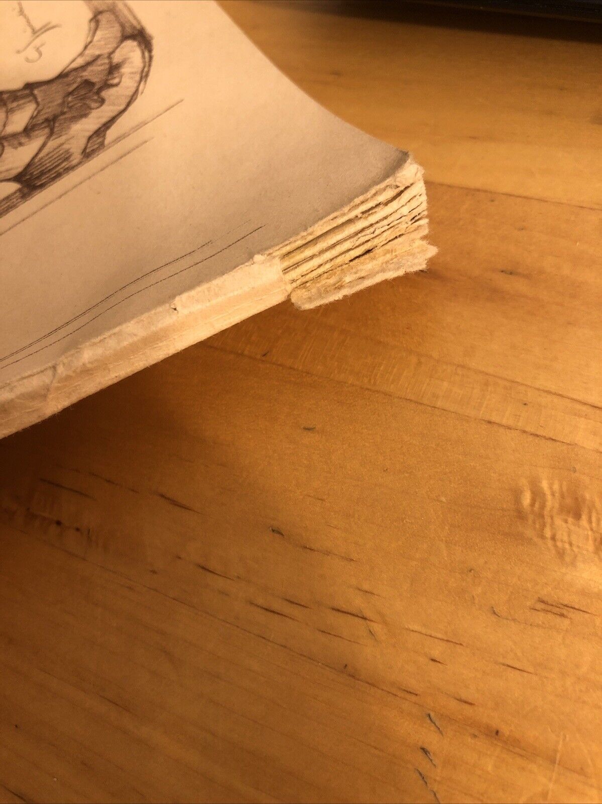 Il disegno nella scuola media, Alessandro Guerrera - Gaetano Spinelli. 1941