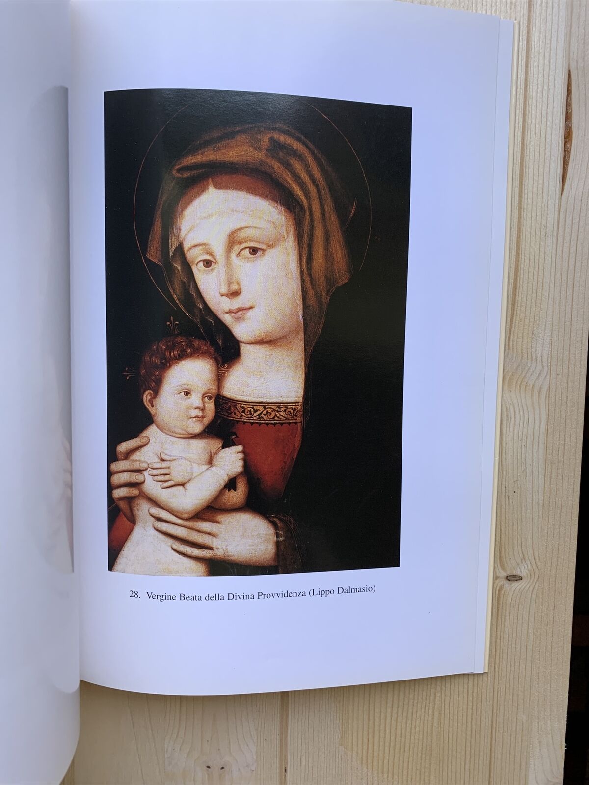 LibroBASILICA SAN PAOLO MAGGIORE congregazione Chierici Barnabiti. Bologna 1999#