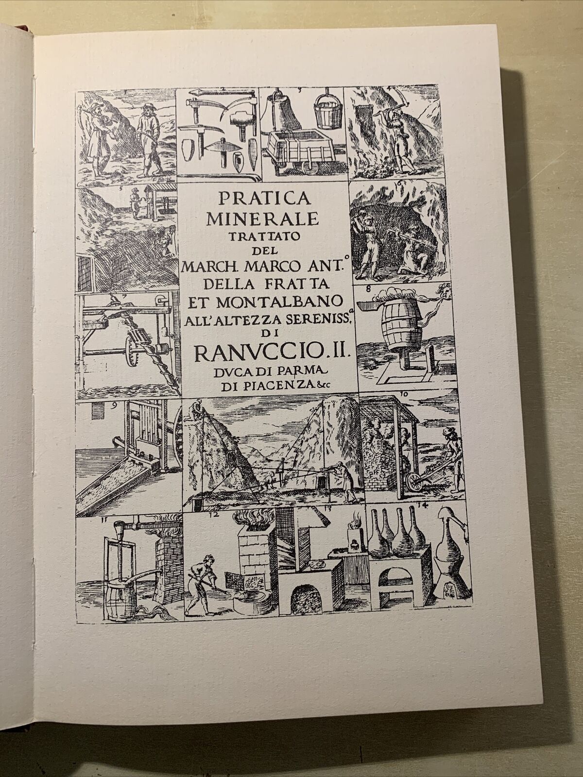 Pratica Minerale trattato del March. Marco Antonio della Fratta Atesa editrice