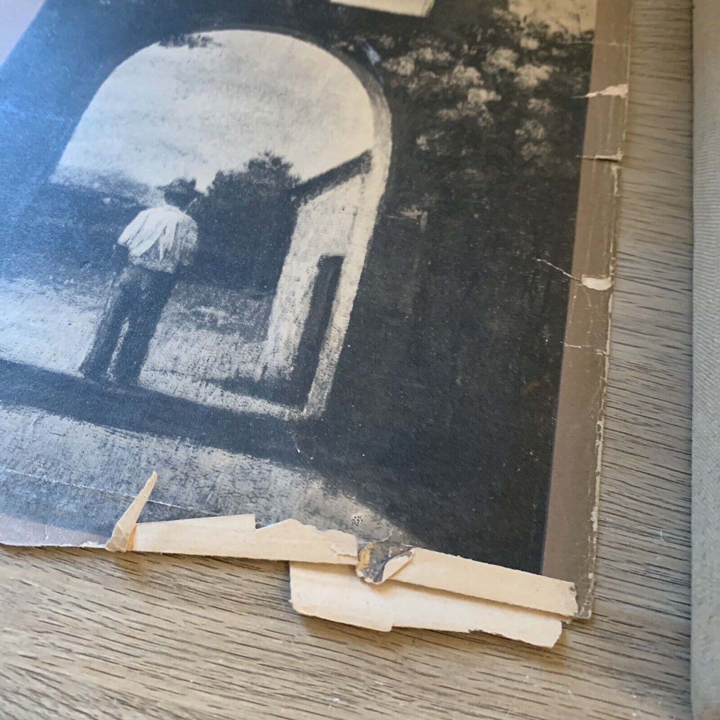 LUIGI BERTELLI - NINO BERTOCCHI. EDIZIONI RUPE 1946