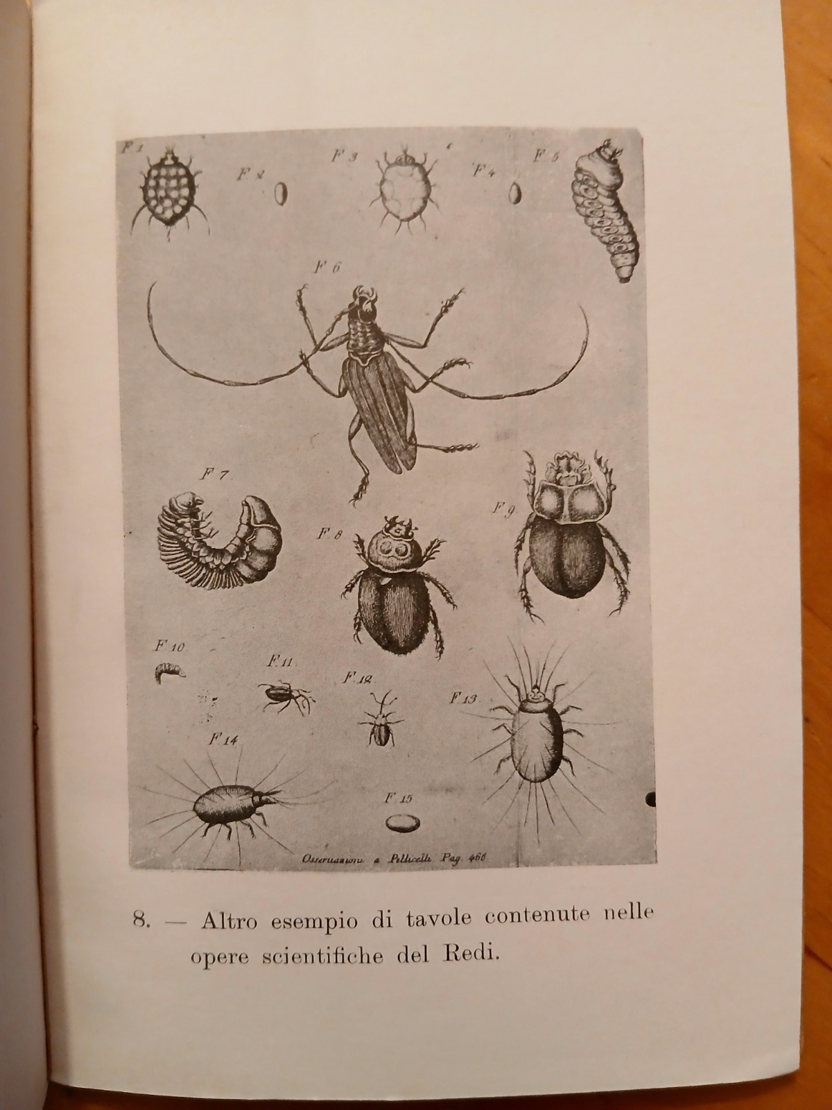 Vite dei medici e naturalisti 2 - M. Cardini, Francesco Redi 1914