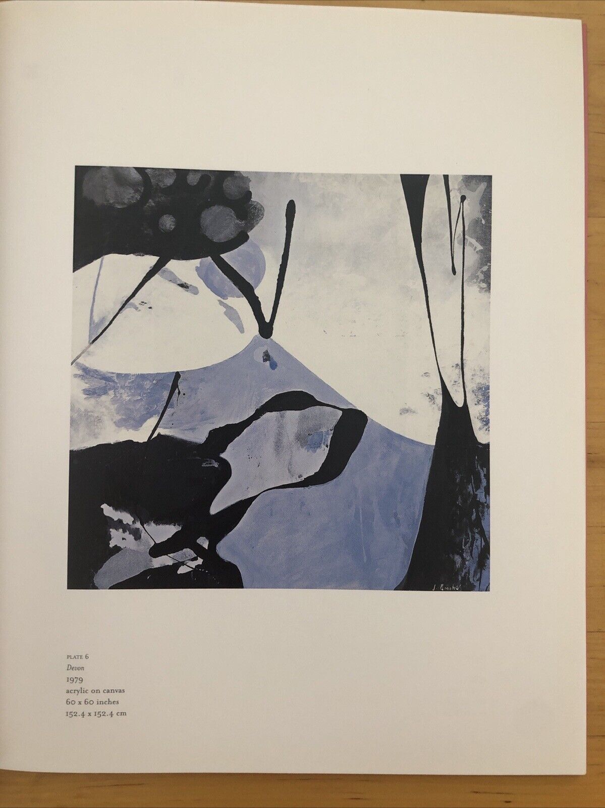 JAMES BROOK - SELECTED WORKS 1960-1985, ARTEMIS GREENBERG VAN DOREN GALLERY 2003