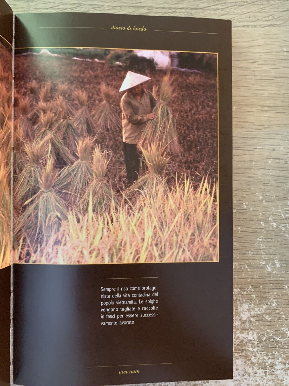 VIETNAM guida per viaggiare Claudio Bussolino, Polaris editore