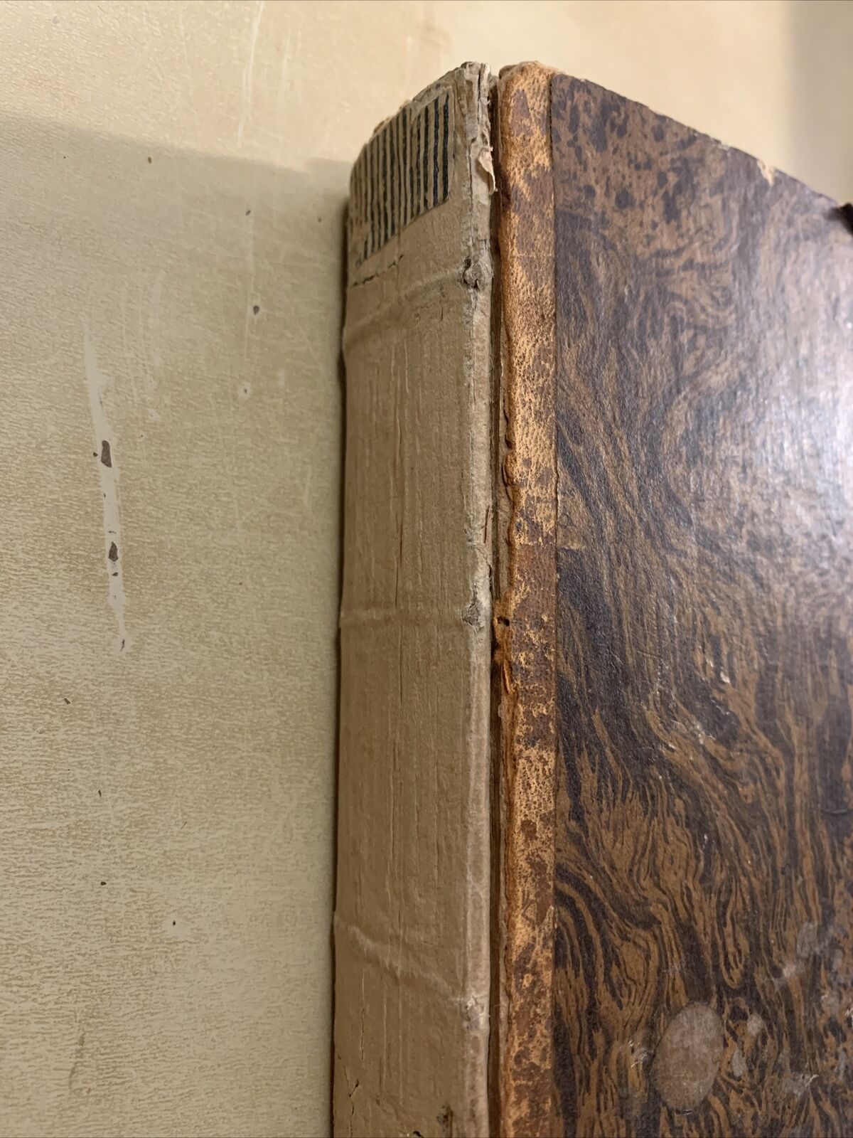 Medulla Theologiae Moralis. Herm. Busembaum 1746