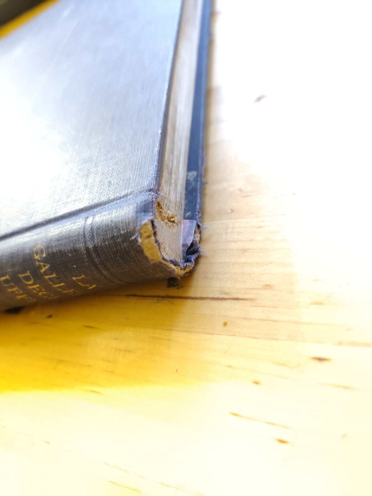 La Galleria degli Uffizi Corrado Ricci Istituto d'Arti Grafiche Bergamo 43 tavv.