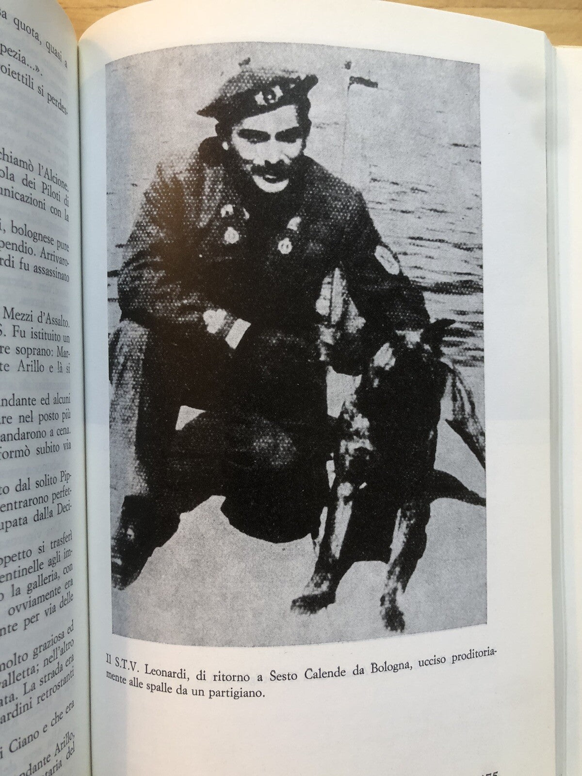 Un alcione dalle ali spezzate Parte terza, La Caduta. Sergio Nesi *Autografato**