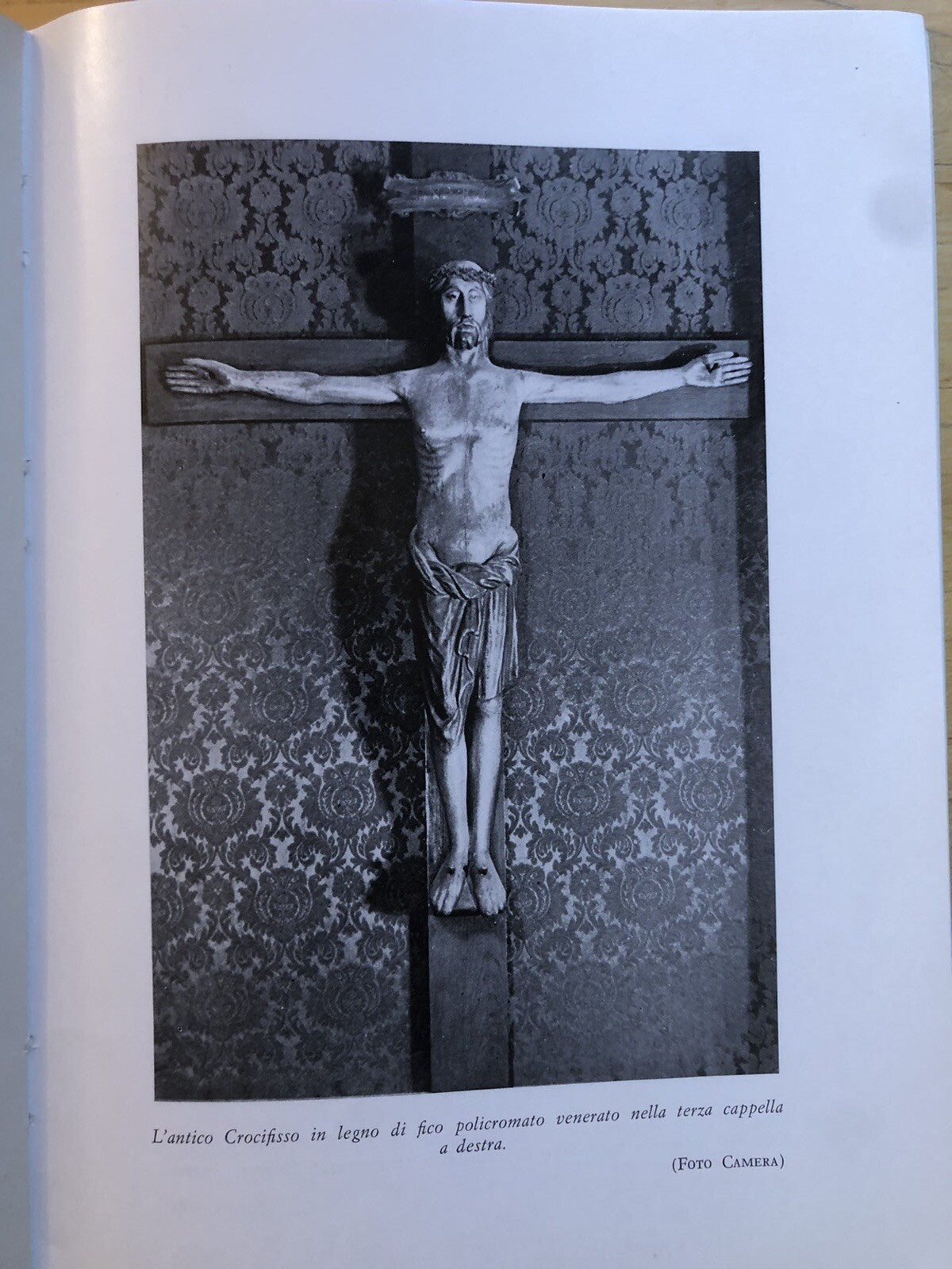 La basilica parrocchiale di S. Maria Maggiore in Bologna. G. Rivani, M. fanti