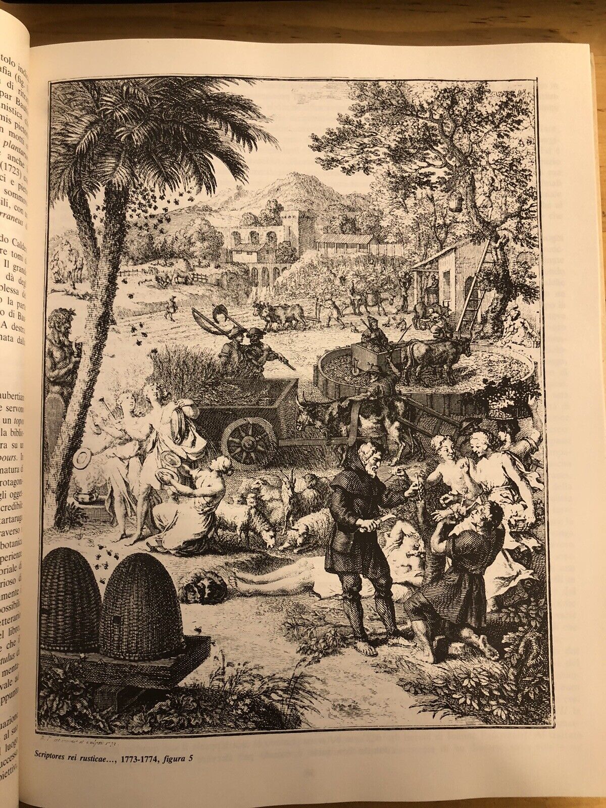 BIBLIOTHECA BOTANICA - LODOVICO CALDESI erbario e libri dal cinquecento al 700