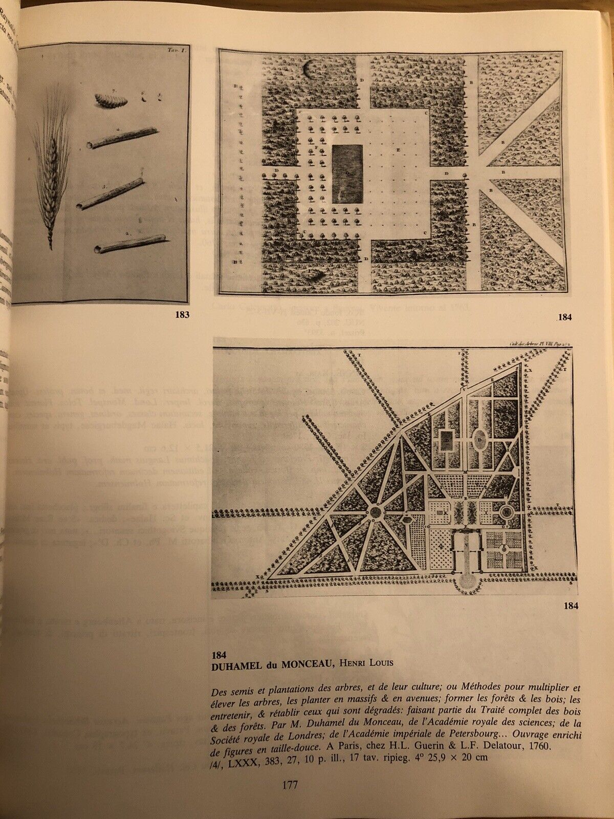 BIBLIOTHECA BOTANICA - LODOVICO CALDESI erbario e libri dal cinquecento al 700