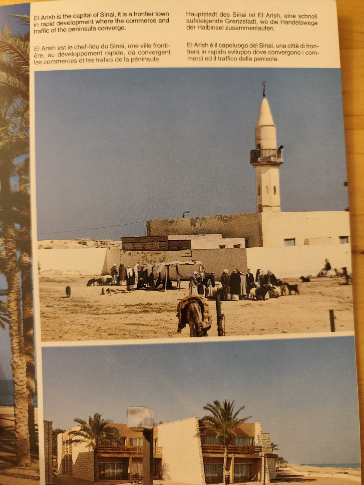 Egypt, Al Ahram - Cairo, Dino Sassi. Kina editore 1989 eng fra ita deutsc, Foto