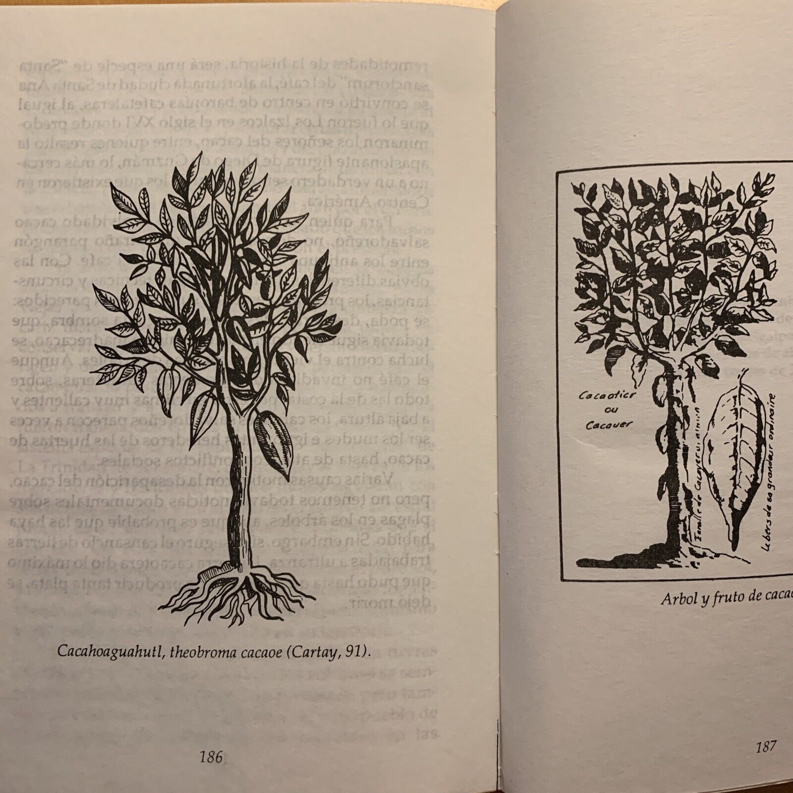 Agricultura prehispanica y colonial - Mario Ardon Mejia. editorial guayamuras