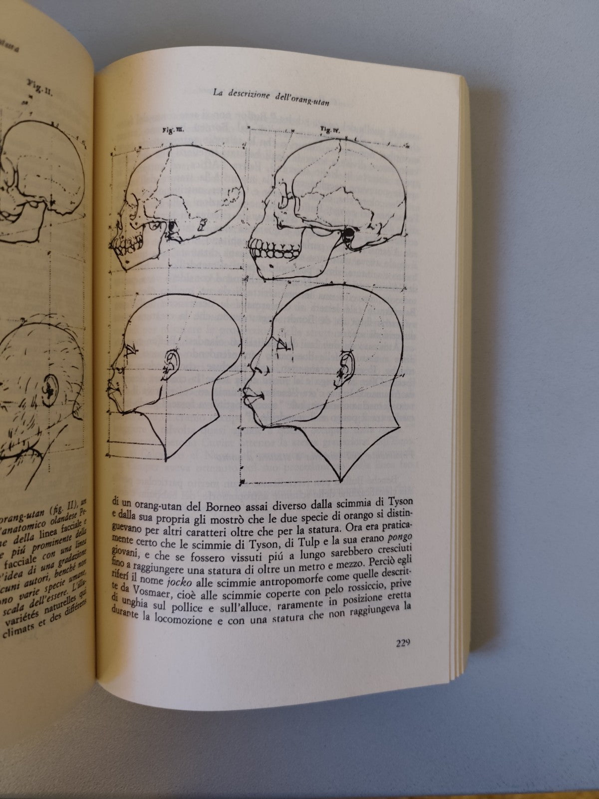 La morte di Adamo, John C. Greene Feltrinelli Evoluzionismo storia della scienza