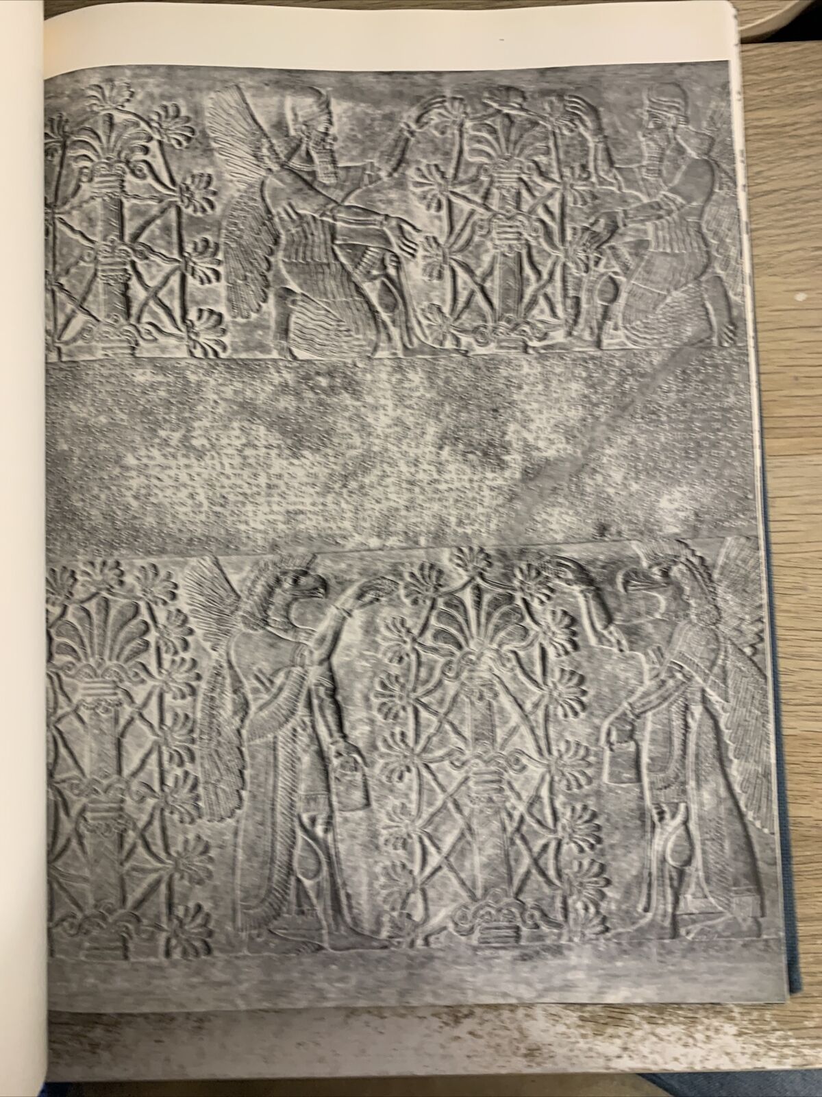 Musei di Stato di Berlino - Edizioni Licosa 1963