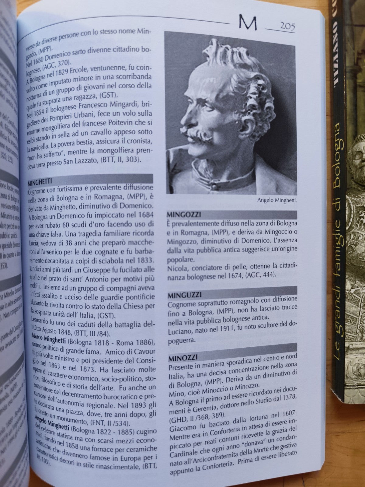 Cognomi del territorio di Bologna - Le grandi famiglie di Bologna, Tiziano Costa