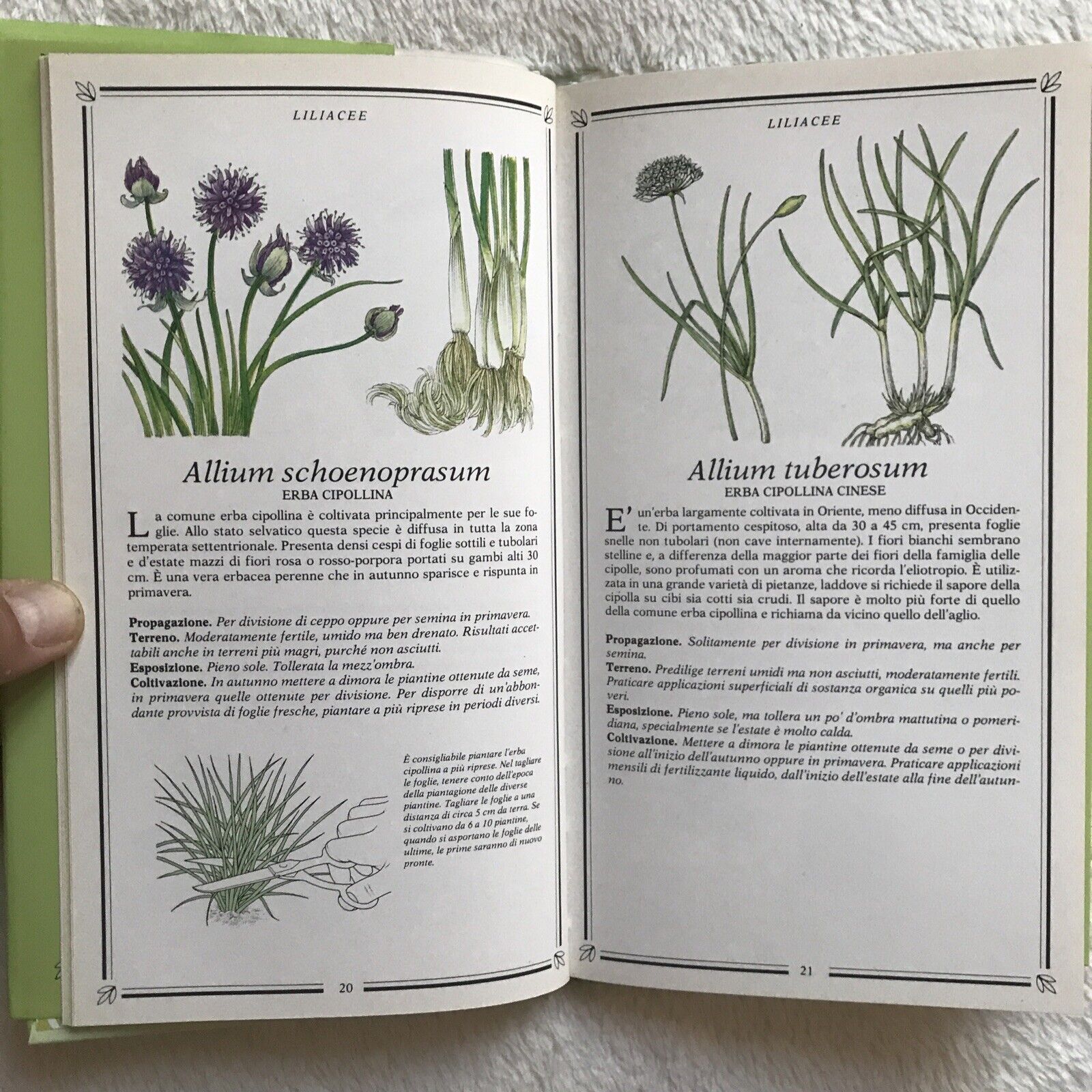 ERBE, Kenneth A. Beckett, Sperling & Kupfer Editori