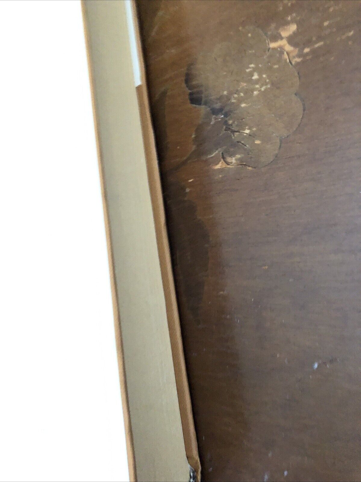 GENEALOGIAE VIGINTI ILLUSTRUM IN ITALIA FAMILIARUM, JACOBI IMHOFF, ARNALDO FORNI