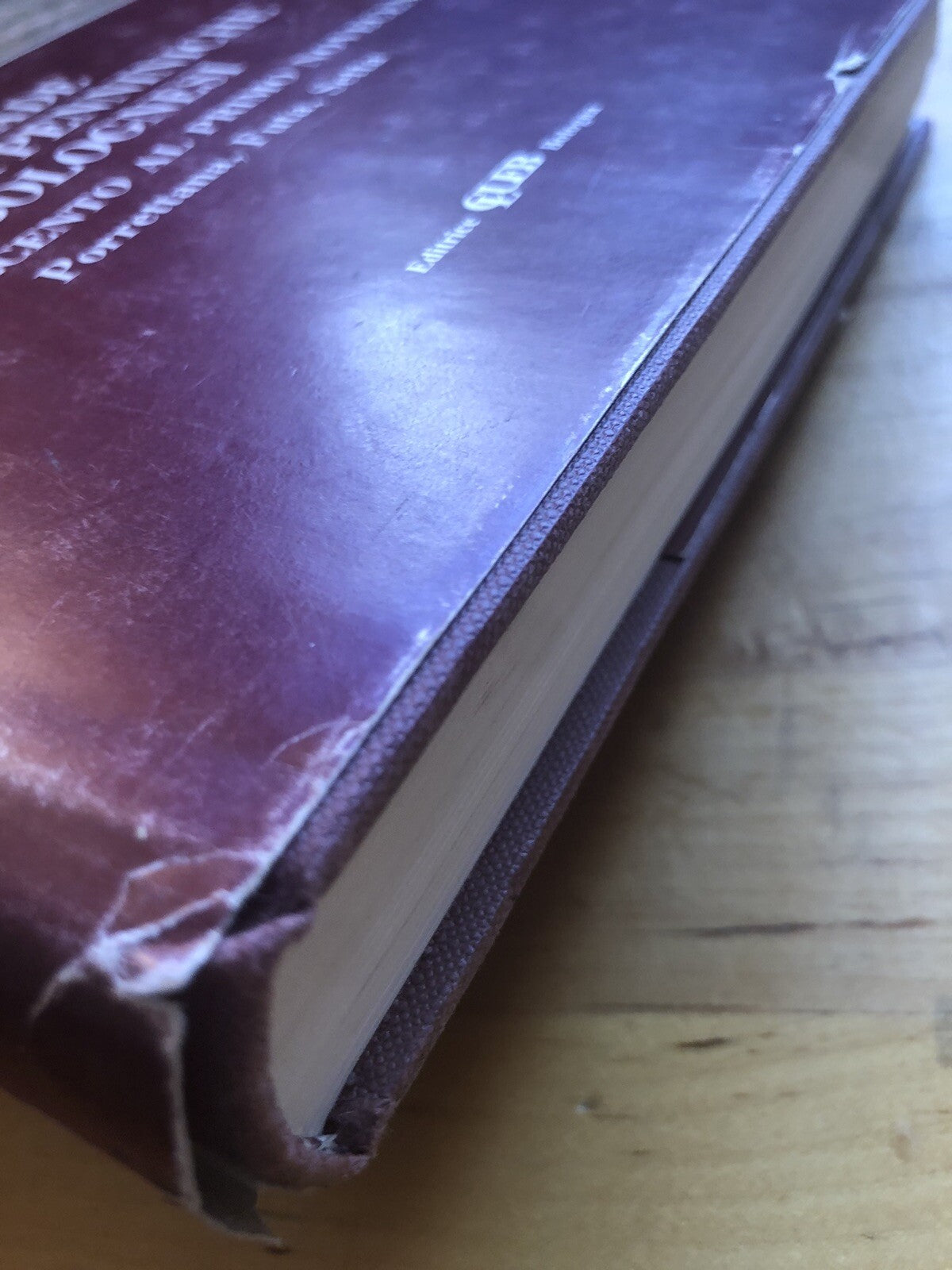 Strade transappenniniche bolognesi dal millecento al primo novecento P. Guidotti