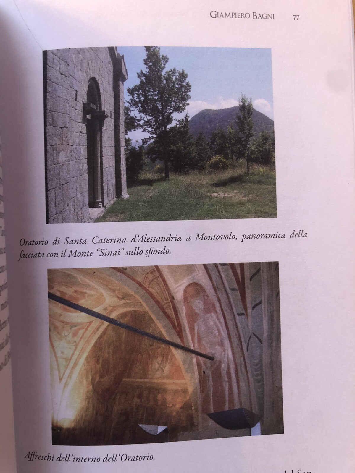 Pietro da Bologna il difensore dei templari, Giampietro Bagni, Bononia Universit