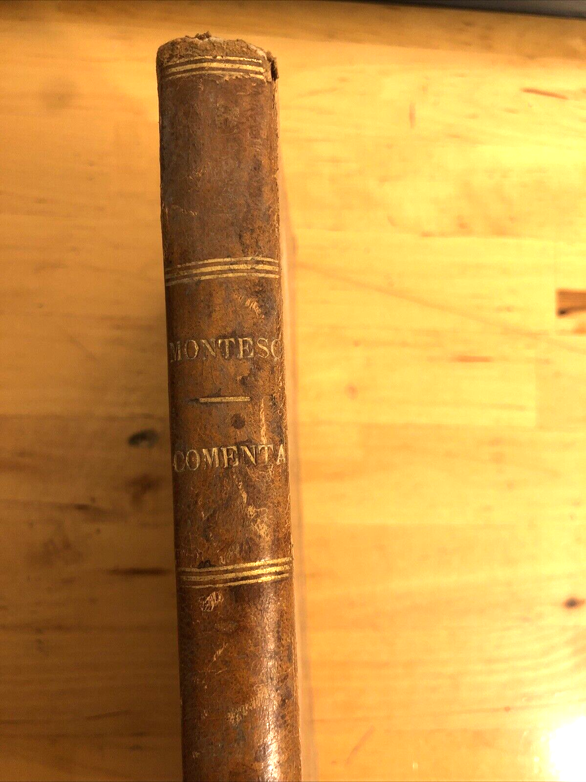 Comentario sopra lo spirito delle leggi di Montesquieu, Destutt de Tracy 1828
